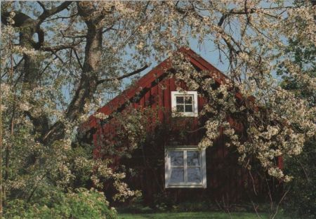 unbekannter Ort - Holzhaus unbekannter Ort - Holzhaus