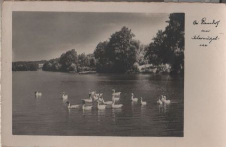 unbekannter Ort - ca. 1950 unbekannter Ort - ca. 1950