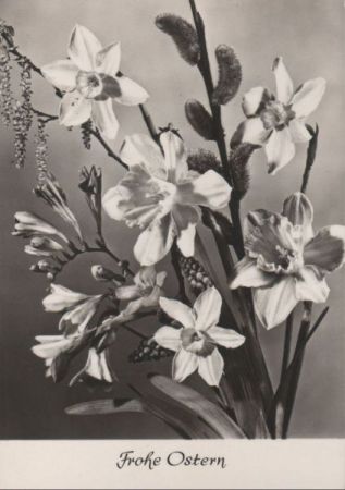 Frohe Ostern Blüten Frohe Ostern Blüten