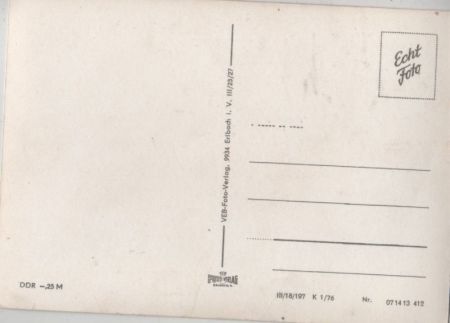 Eichhörnchen mit Nüssen