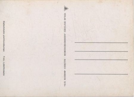 Klatschmohn Kornblumen