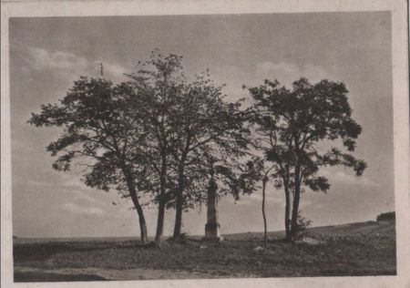 Baumgruppe und Kreuz Baumgruppe und Kreuz