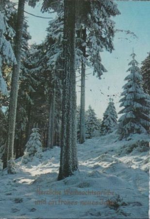 Herzliche Weihnachtsgrüße Winterwald Herzliche Weihnachtsgrüße Winterwald