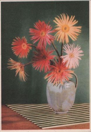 Geburtstagsgrüße Blumenvase Geburtstagsgrüße Blumenvase