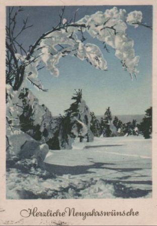Neujahrswünsche Winterwald Neujahrswünsche Winterwald