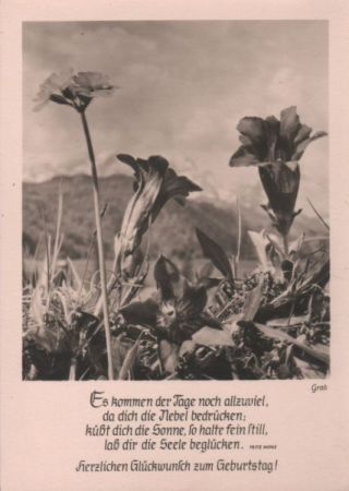 Der Tage noch allzuviel Sinnspruch Der Tage noch allzuviel Sinnspruch