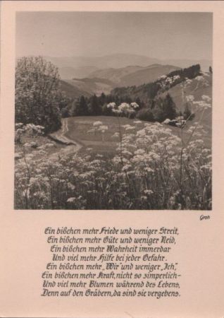 Ein bisschen mehr Friede Sinnspruch Ein bisschen mehr Friede Sinnspruch