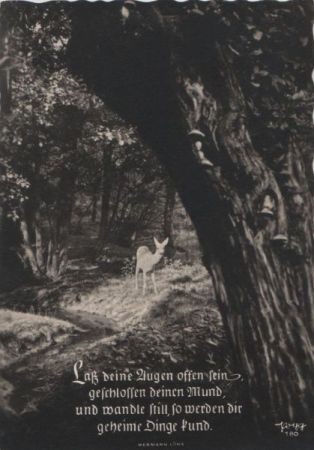 Lass deine Augen offen sein Sinnspruch Lass deine Augen offen sein Sinnspruch