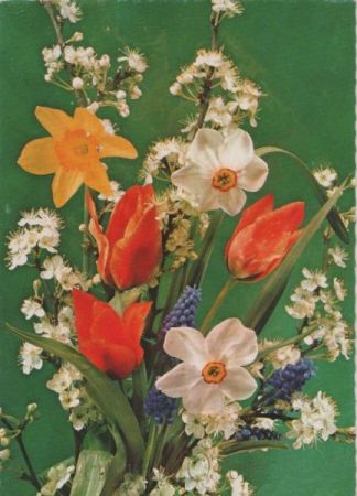Blumen Strauß Blumen Strauß
