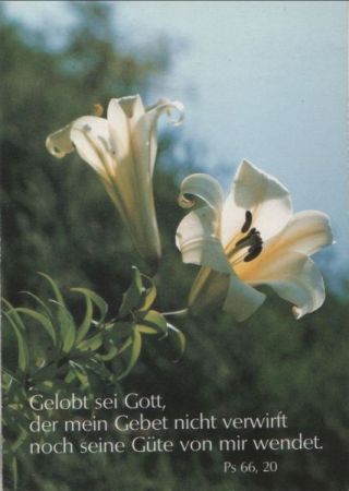 Gelobt sei Gott Psalm Gelobt sei Gott Psalm