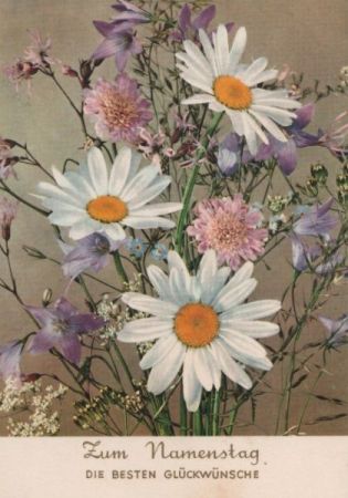 Zum Namenstag Blumen Zum Namenstag Blumen