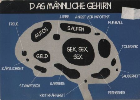 Männliches Gehirn Autos Saufen etc. Männliches Gehirn Autos Saufen etc.