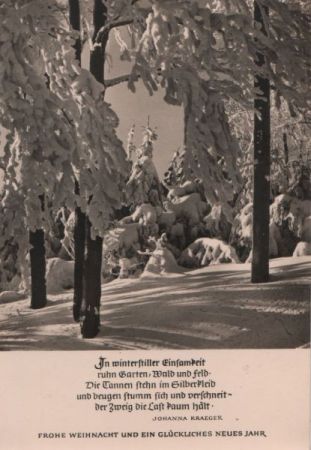 In winterlicher Einsamkeit Wald In winterlicher Einsamkeit Wald