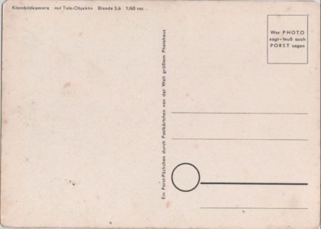 Pusteblumen schwarzweiß