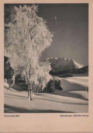 Glänzender Reif Winter Glänzender Reif Winter