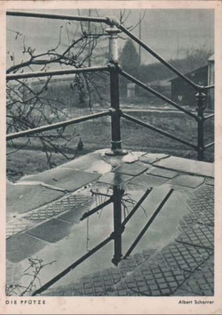 Die Pfütze Treppe Die Pfütze Treppe