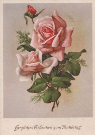 Zum Muttertag Rosen Zum Muttertag Rosen