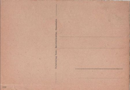 Tannenzapfen unbeschrieben