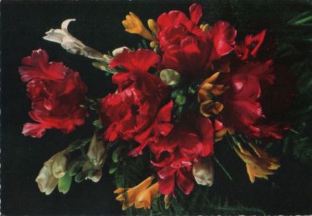 Blumen blühend Blumen blühend