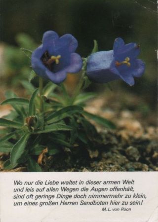 Wo nur die Liebe waltet Sinnspruch Wo nur die Liebe waltet Sinnspruch