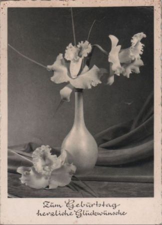 Zum Geburtstag Blumen Zum Geburtstag Blumen