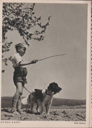 Shau Karo! Junge mit Hund Shau Karo! Junge mit Hund