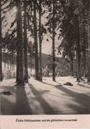 Frohe Weihnachten Winterwald Frohe Weihnachten Winterwald