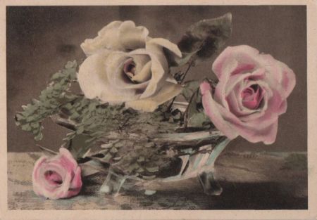 Rosen zwei Farben Rosen zwei Farben