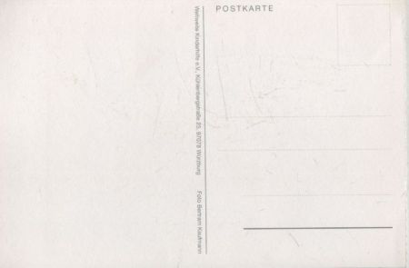 Blüten unter Schnee