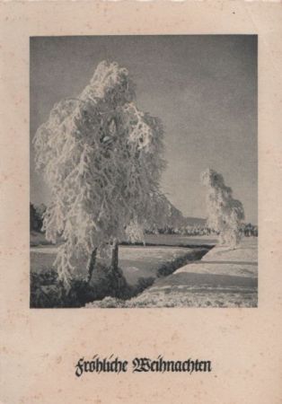 Fröhliche Weihnachten Winterbäume Fröhliche Weihnachten Winterbäume