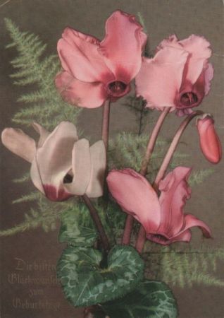 Zum Geburtstage Blumen Zum Geburtstage Blumen