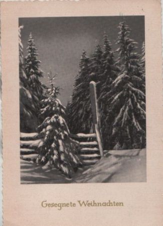 Gesegnete Weihnachten Winterbild Gesegnete Weihnachten Winterbild