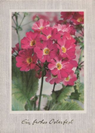 Frohes Osterfest Blumen Frohes Osterfest Blumen