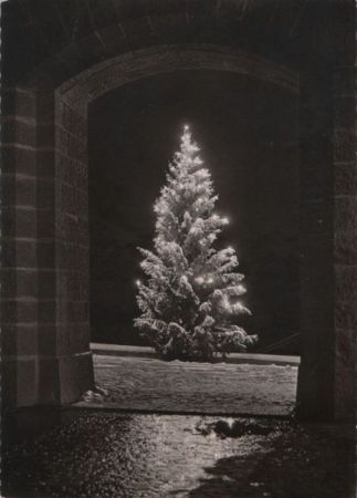 Herzliche Weihnachtsgrüße Weihnachtsbaum Herzliche Weihnachtsgrüße Weihnachtsbaum