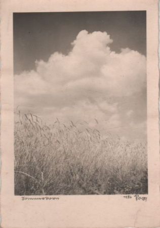 Sommersturm schwarzweiß Sommersturm schwarzweiß