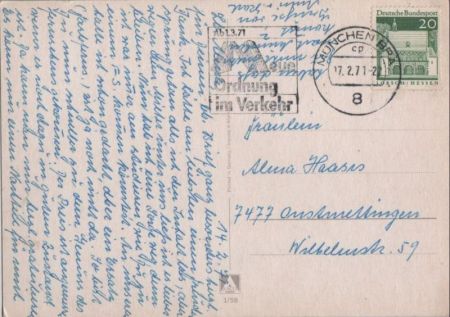 Hund auf Decke Hund auf Decke