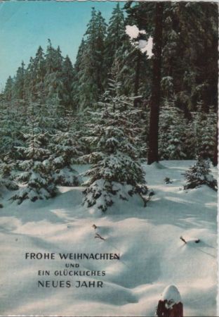 Frohe Weihnachten Winterwald Frohe Weihnachten Winterwald
