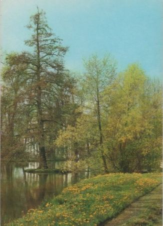 Herzliche Pfingstgrüße am Wasser Herzliche Pfingstgrüße am Wasser