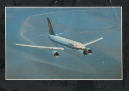Airbus A 310 in der Luft Airbus A 310 in der Luft