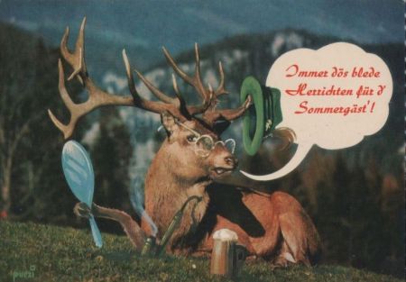 Herrichten für Sommergäst Hirsch Herrichten für Sommergäst Hirsch