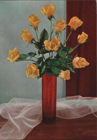 Gelbe Rosen in Vase Gelbe Rosen in Vase