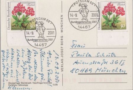 Moosartiger Steinbrech Sonderstempel