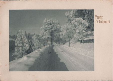 Frohe Weihnacht Winterwald Frohe Weihnacht Winterwald