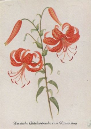 Zum Namenstag Blume Zum Namenstag Blume