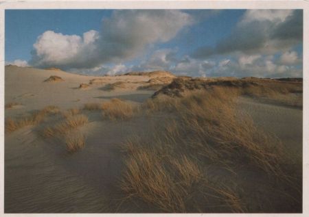 Dünen grasbewachsen Dünen grasbewachsen