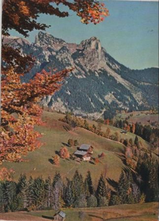 Simmental - Schweiz - Kaiseregg Simmental - Schweiz - Kaiseregg