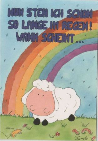 Schon lange im Regen Schaf Schon lange im Regen Schaf