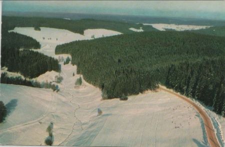 Wald im Winter Wald im Winter