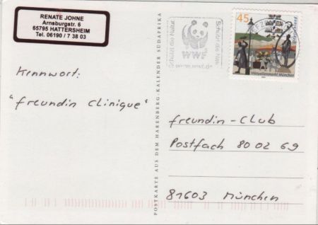 Schirmakazie bei Sonnenuntergang