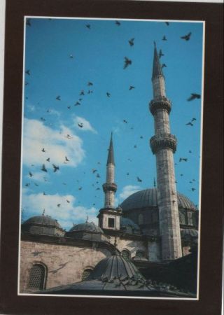 Istanbul - Türkei - Eyüp Moschee Istanbul - Türkei - Eyüp Moschee